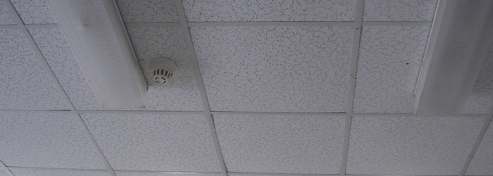 Asbestos in ceiling tiles